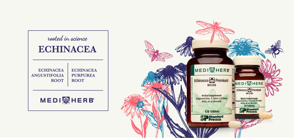 Echinacea Premium: Immune Support Rooted in Science