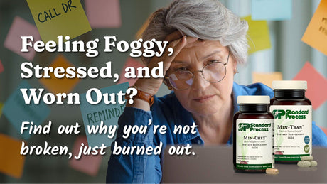 Adrenal Burnout -Â Feeling Foggy, Stressed, and Worn Out?