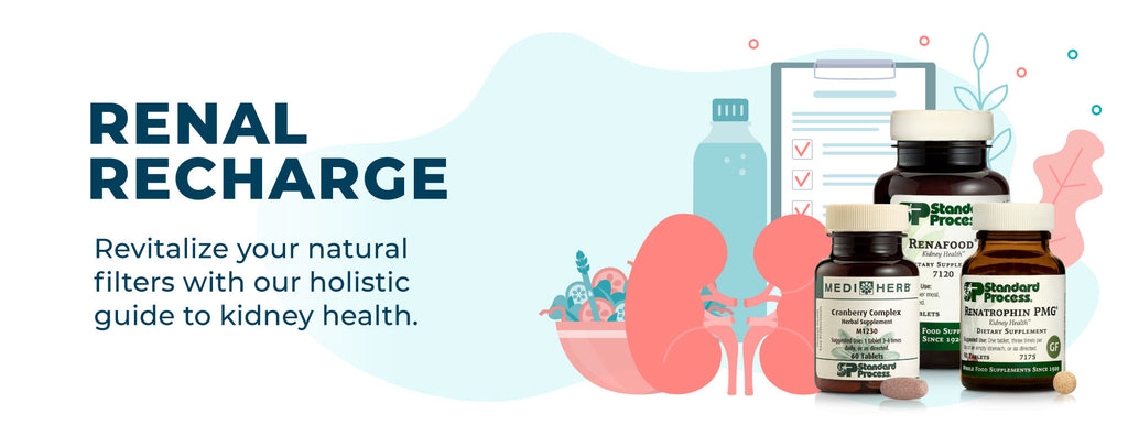 Renal Recharge: Revitalize your body's natural filters