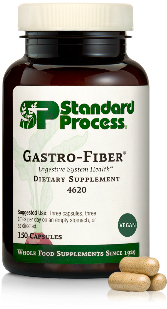 gastro fiber