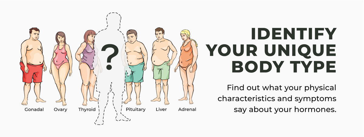 Body Type Overview – Tuscola Pain and Wellness Center