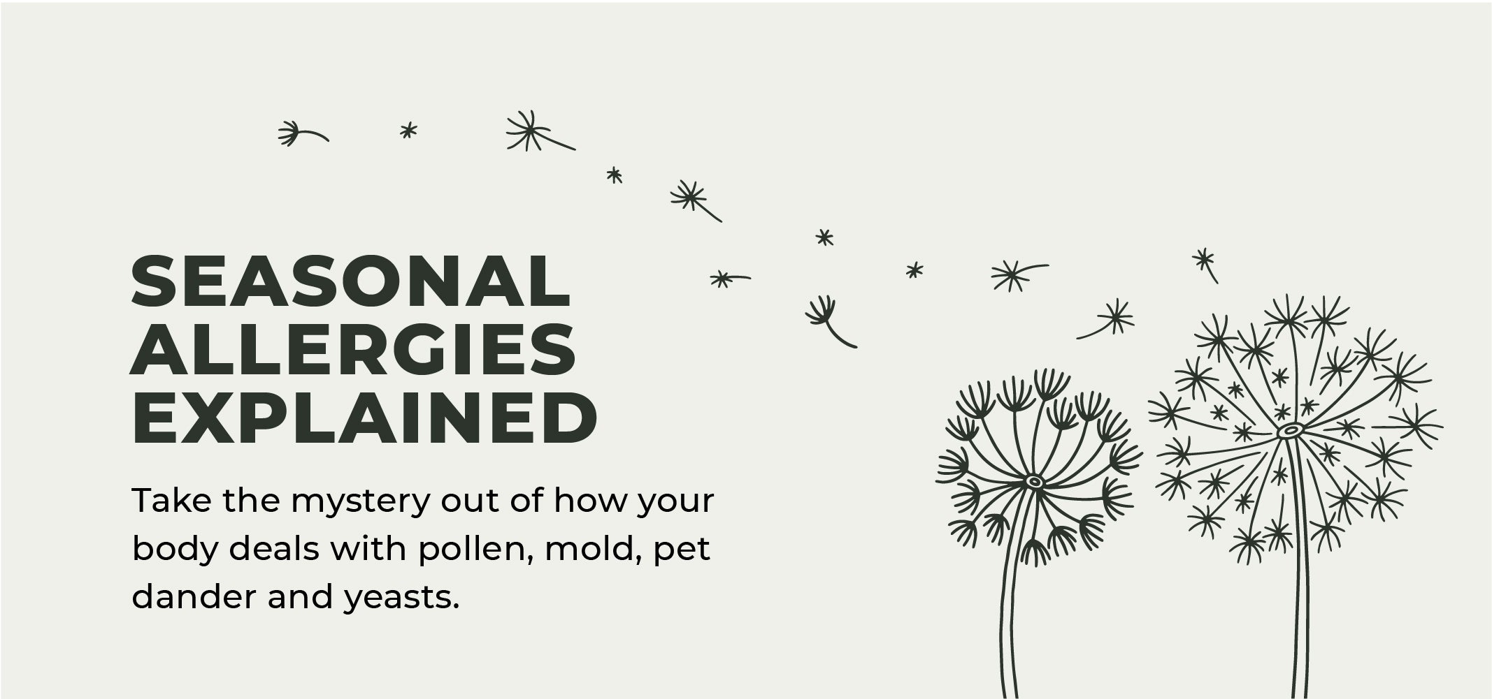 Seasonal Allergies Supplement and Herb Support