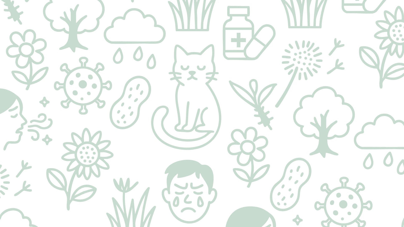 Spring Collection