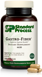 gastro fiber