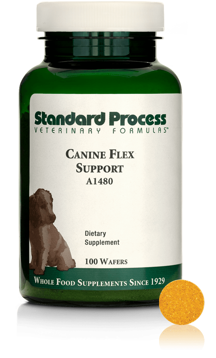 canine flex