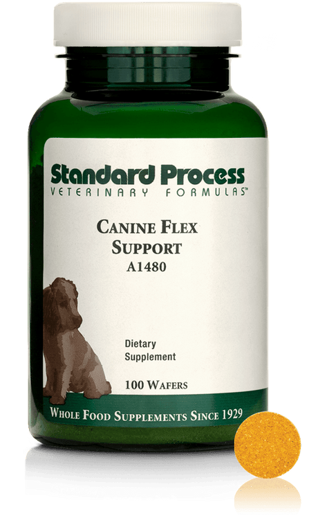 canine flex