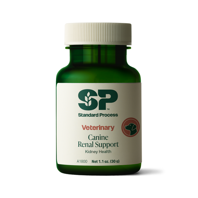 Canine Renal Support, 30 g