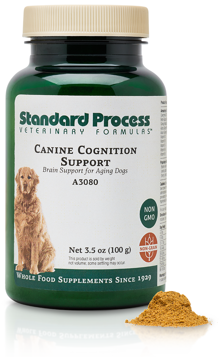 Canine cognition support bottle