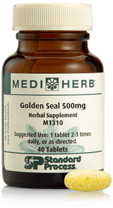 Golden Seal 500mg, 40 Tablets